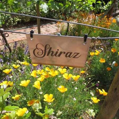 Haus Perlenblick Bed & Breakfast Paarl Luaran gambar