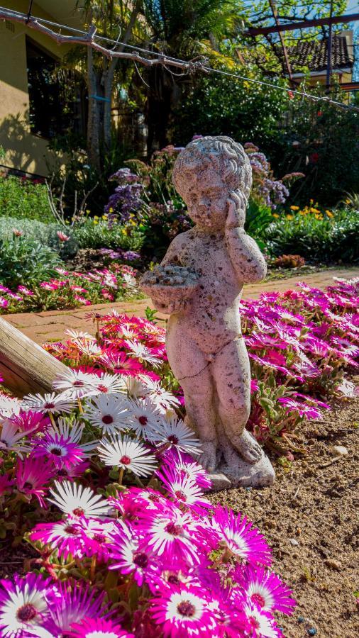 Haus Perlenblick Bed & Breakfast Paarl Luaran gambar