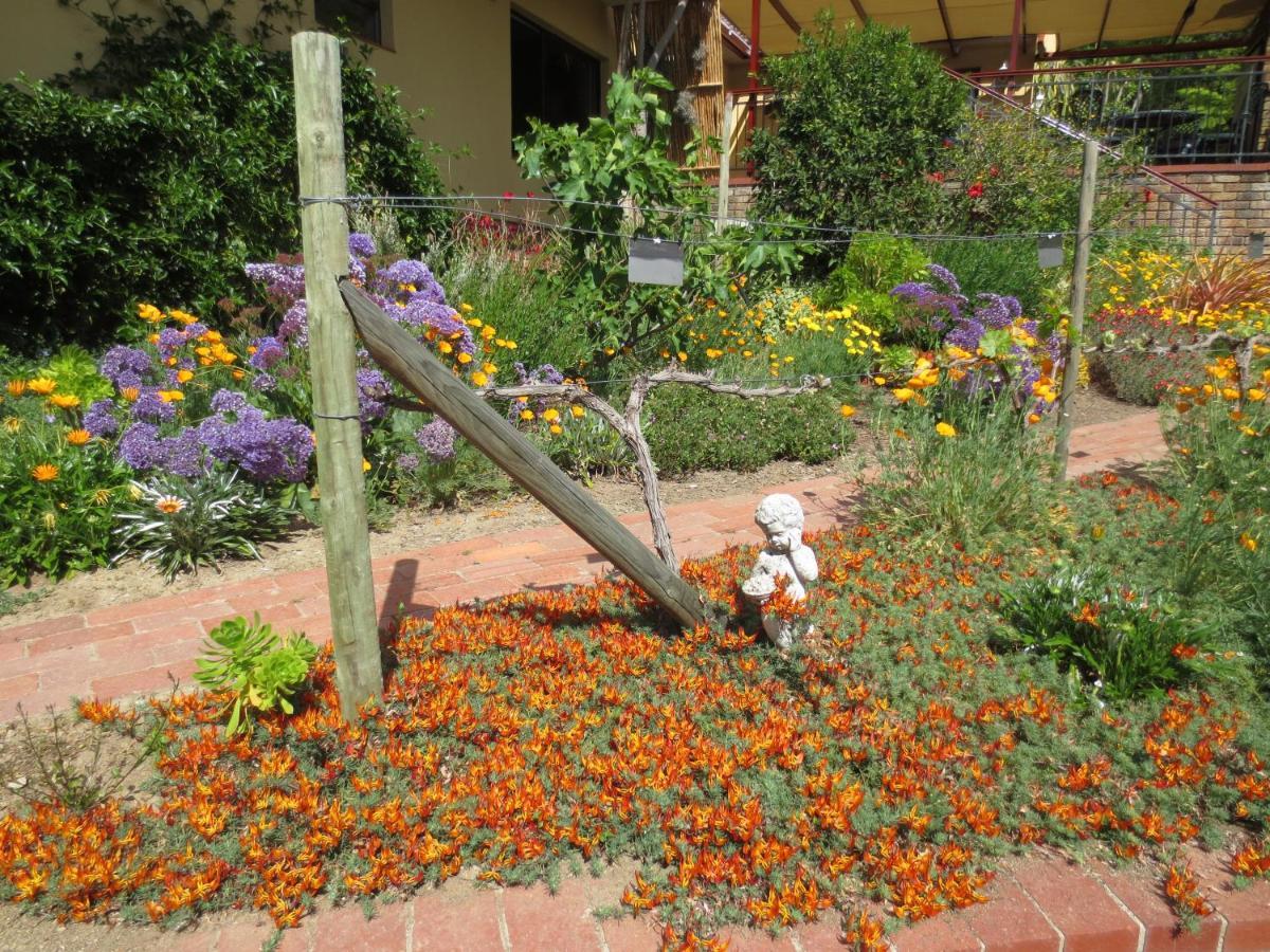 Haus Perlenblick Bed & Breakfast Paarl Luaran gambar
